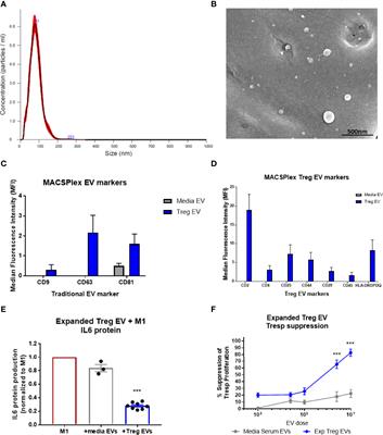 Extracellular Vesicles Derived From Ex Vivo Expanded Regulatory T Cells Modulate In Vitro and In Vivo Inflammation